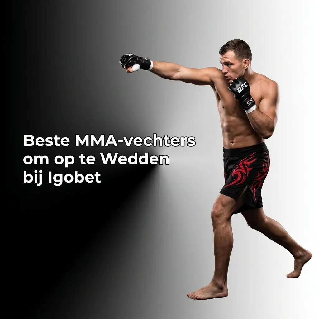 MMA-vechters bij Igobet
